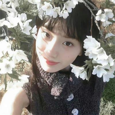 黑色丛林